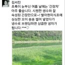 남한강로 이미지
