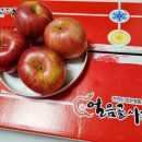 신 하나농장 이미지