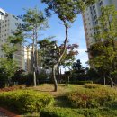 5단지스타힐스공인중개사사무소 이미지