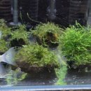 고래의꿈 수족관 이미지