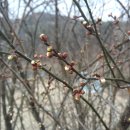 발산리 경로당 이미지