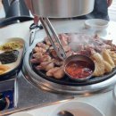 제주-정애