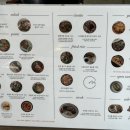 남일대리조트 해수월드 이미지