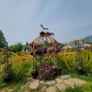 인도교 맞은편 횡단보도 | 일산 호수~고양국제꽃박람회 (2024. 05. 04)