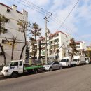 우방청자 이미지