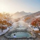 도곡온천(힐링무인텔앞) | 전국 온천 TOP10 + 숨은 명소 5 미니멀 리스트｜한눈에 보는 한국 온천 지도 15선