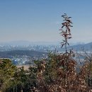 양택공설묘지 이미지