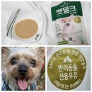 에버펫 동물병원 | 에버그로 펫 밀크 눈 관절) 반려동물 전용 우유, 강아지 락토프리 우유 소화 잘되는 음수량 간식 영양...