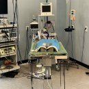 대우동물병원 이미지