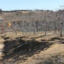 찬송농장 이미지