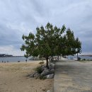 속초나드리 이미지