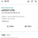 순살만공격 신안점