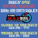 국가대표MAS유아체육태권도줄넘기 이미지