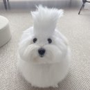 신명나리 네이버블로그