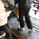 올바디짐 이미지