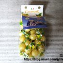 나투리스 이미지