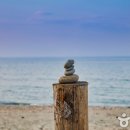 정암식당 이미지