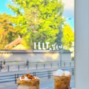 종로-신영-종로-영-173 | 서순라길 카페 창경궁 돌담뷰 카페 일트커피 ILLT