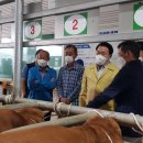 장흥축산업협동조합 이미지