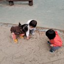 뒷말어린이공원 Daum카페