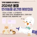 P-7708 | 2024년 봄철 🐾반려동물 광견병 예방접종, 잊지마시개! (동물병원 현황, 광견병 예방·증상)