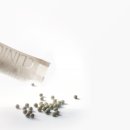 칠성한의원 이미지