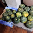 재연 농장 이미지