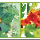 천령식품 이미지