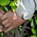 사철농장 이미지