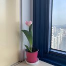 3月 (4)