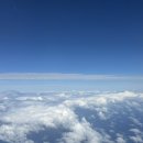 상관리조트&스파 | [하와이 신혼여행] 빅아일랜드 아웃리거 코나 리조트&amp;스파 후기