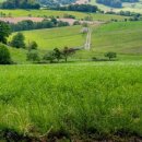 상영빌딩 이미지