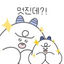 호남맛김