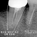 더바른윤치과의원 이미지