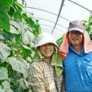 이기순농장 이미지