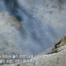 일원사