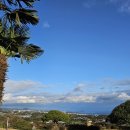 호호산장 이미지