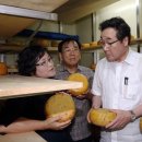 지사목장 이미지