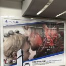 홍금동물병원 | 8월 1주차)아이폰 홈화면 사라짐, 량진희 레몬닭발 후기, 부지런히 도시락 싸고 병원가기