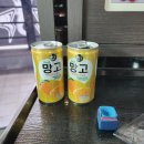 올킬다빈치