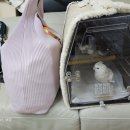 (주) 나유 이미지