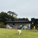 단하우스 이미지