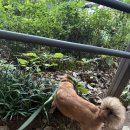 지에스(GS)25 목포자유점 | 당일치기 대전여행