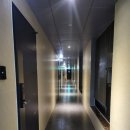 호텔소노(HOTEL SONO) | [Hotel] 청양 신축 호텔 소노 강추 후기 - 스탠다드룸 (fear.어메니티 혜자)