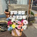 (주)지인약품 | 양양 꽃선물 꽃바구니 원데이클래스 어버이날꽃다발 소미꽃마을