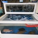 K 퓨전한옥펜션 이미지