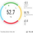 11일 - 2023.10.06(금) 52.7kg (-0.5kg) 이미지