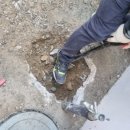 경기도 수원시 장안구 조원로112번길 이미지