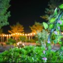 무릉도원면-14 이미지