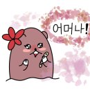 3H한마음센터